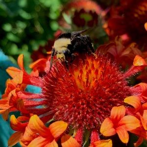 Meet your Posher, Serena